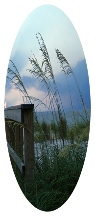 Crossing Over (Boardwalk)